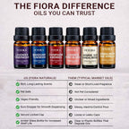Premium Fragrance Oil Set for Candle Making, Soap, Wax Melts and Diffusers | Highly Concentrated Scented Oils for Home Fragrance, Long Lasting Aroma Oils Gift Set for Diffusers & DIY, Selfcare Gift