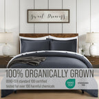 Bella Coterie | Luxury Bamboo Viscose Cal King Size Duvet Cover Set | Organically Grown | Cooling | Ultra Soft | 8 Corner Ties | 2 Pillow Shams | 94" X 106" | No Insert [Charcoal Grey]
