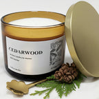 Cedar Wickless Candles Ideal for Candle Lamp Warmer, 9Oz Soy Candle with Stirring Spoon & Lid, Cedarwood Wickless Candles for Candle Warmer Lamp, Winter Holiday Gifts for Men & Home Scented