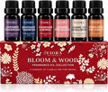 Premium Fragrance Oil Set for Candle Making, Soap, Wax Melts and Diffusers | Highly Concentrated Scented Oils for Home Fragrance, Long Lasting Aroma Oils Gift Set for Diffusers & DIY, Selfcare Gift