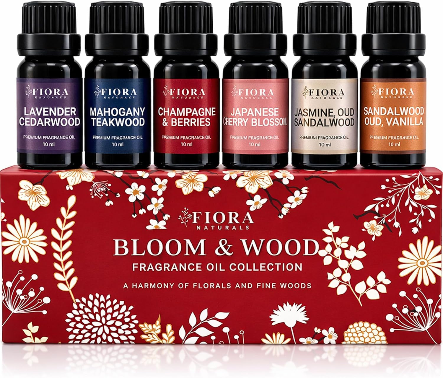 Premium Fragrance Oil Set for Candle Making, Soap, Wax Melts and Diffusers | Highly Concentrated Scented Oils for Home Fragrance, Long Lasting Aroma Oils Gift Set for Diffusers & DIY, Selfcare Gift