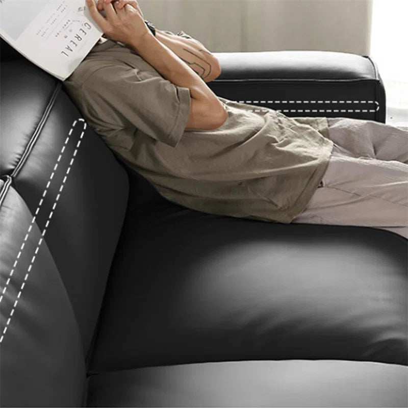Genuine Leather Standard Sofa Cushion Couch